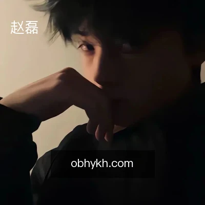 赵磊